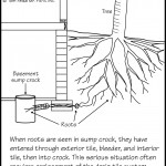 B052 Sump Pump Roots in Crock 150x150